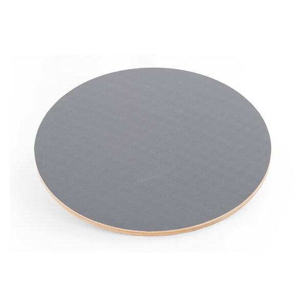 Placa de echilibru FISIOTECH - imagine 2